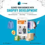 Webbuggs company icon