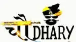 Chaudhary dsdafsdf company icon