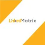 Linked Matrix company icon