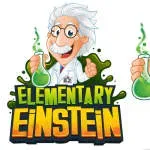 Design Einstien company icon