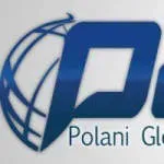 Polani Global Technologies SMC-PVT Ltd company icon