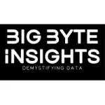 Big Byte Insights company icon
