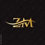ZM Express Pvt Ltd company icon